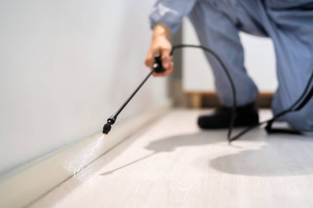Licensed Termite Control service in Hood River, OR - Nex Pest Control