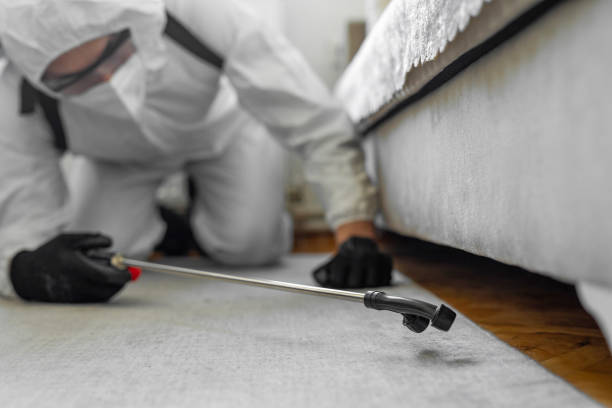 Professional Termite Control technician working in Hood River, OR