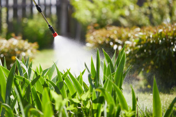 24/7 Emergency Termite Control experts in Hood River, OR