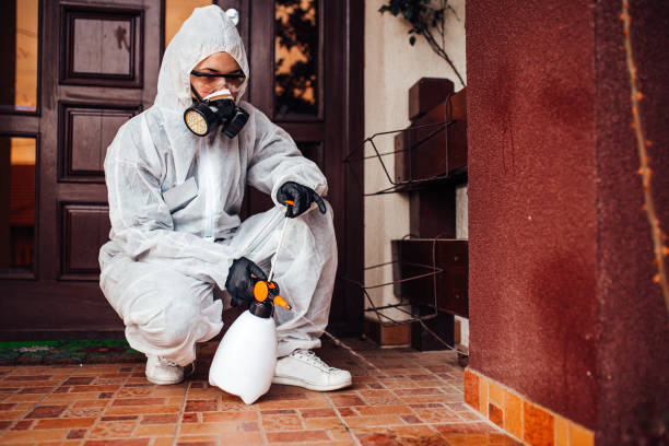 Reliable Termite Control contractor in Hood River, OR by Nex Pest Control